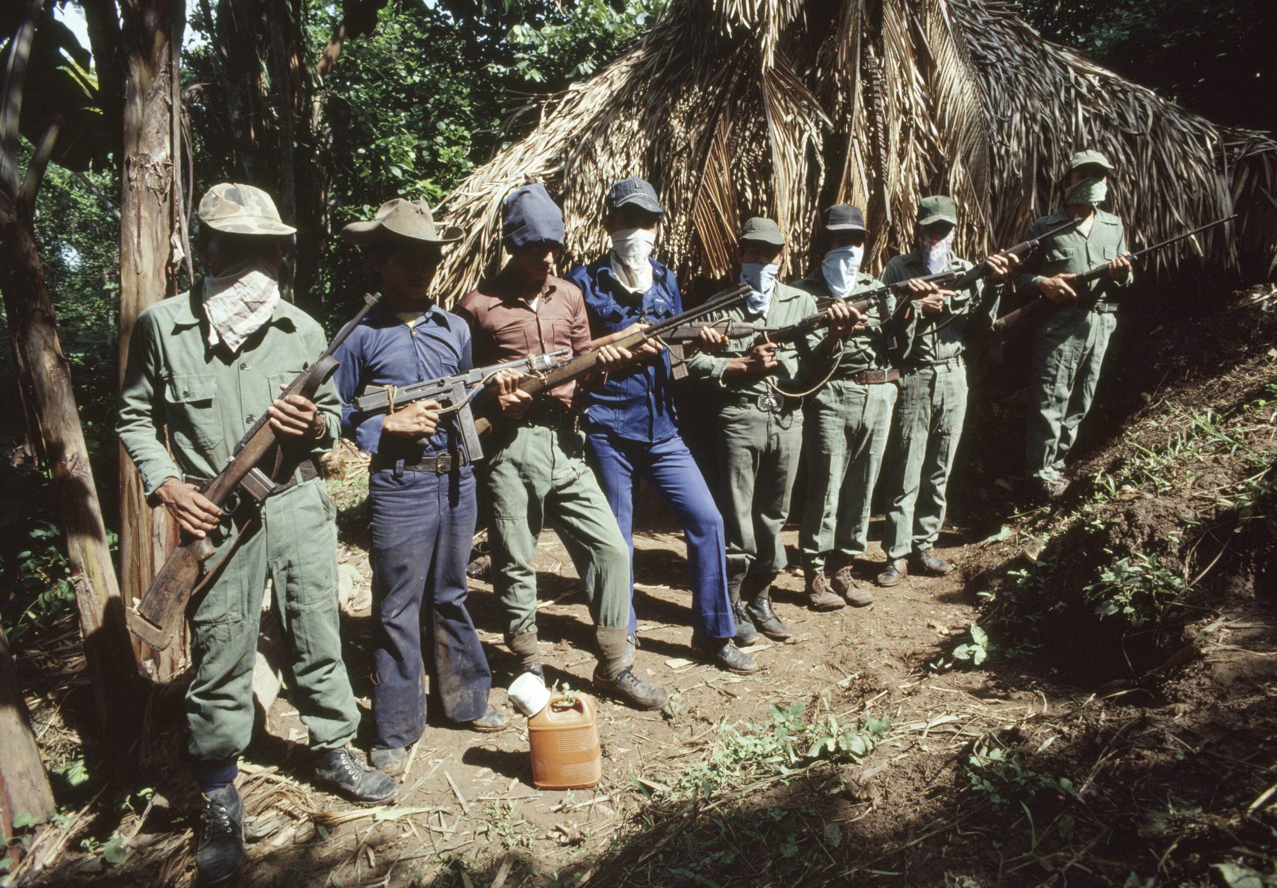 La reorganización de las guerrillas y de los movimientos de masas ...